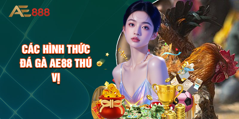Các Hình Thức Đá Gà Ae88 Thú Vị