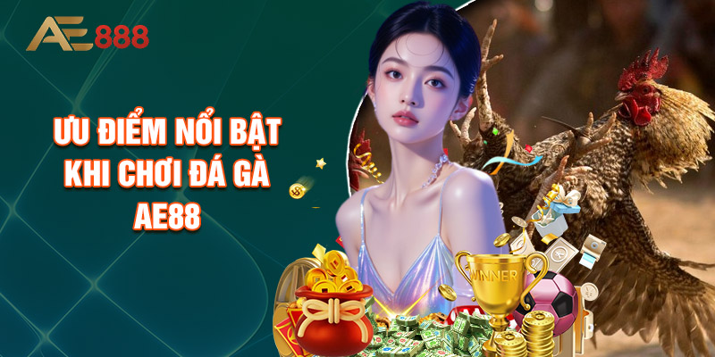 Ưu Điểm Nổi Bật Khi Chơi Đá Gà Ae88