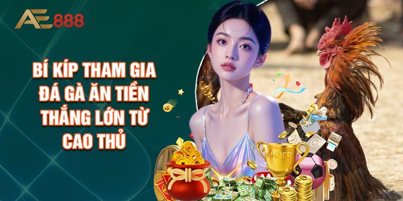 Bí Kíp Tham Gia Đá Gà Ăn Tiền Thắng Lớn Từ Cao Thủ