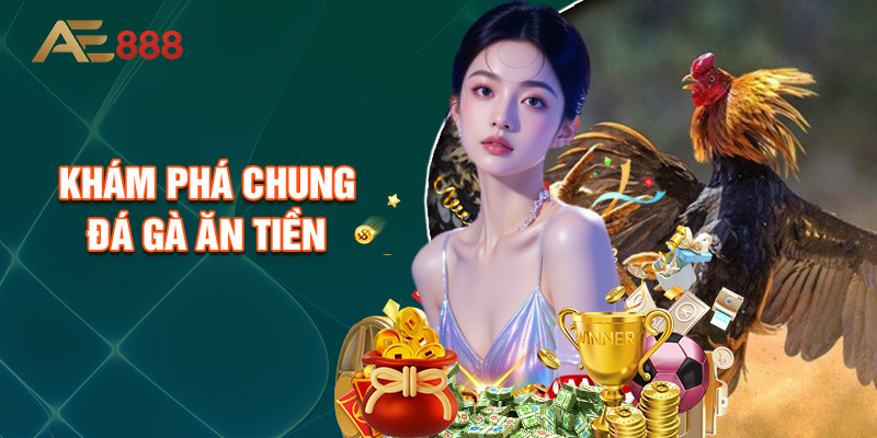 Khám Phá Chung Đá Gà Ăn Tiền